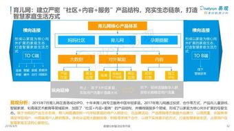 中国互联网母婴市场年度综合分析2018