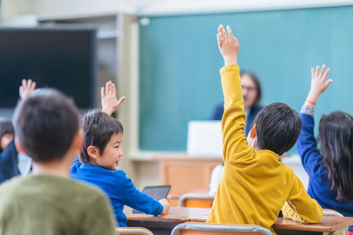 教育部明确学前教育 不得抢跑 幼升小,要如何 衔接